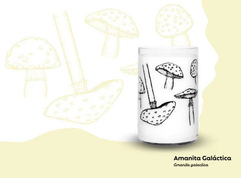 Pack de Vasos Hongos de Chile