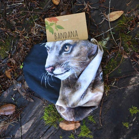 Bandanas