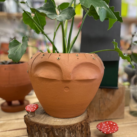 Macetero Carita Peyotito