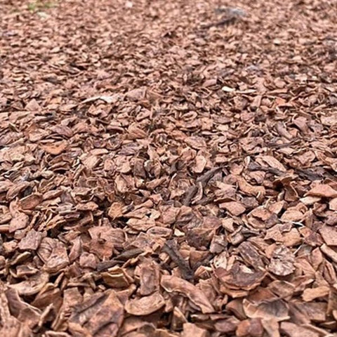 Granel Mulch Cascara Nuez