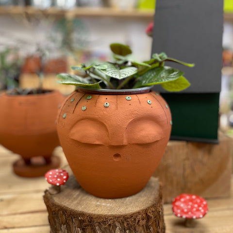 Macetero Carita Peyotito