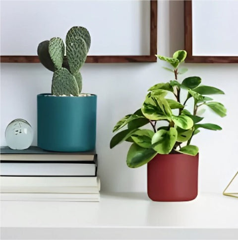 Portamacetero ONO 13cm