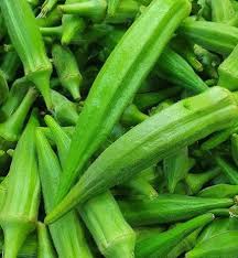 SEMILLA OKRA