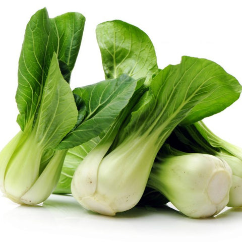 SEMILLA PAK CHOI