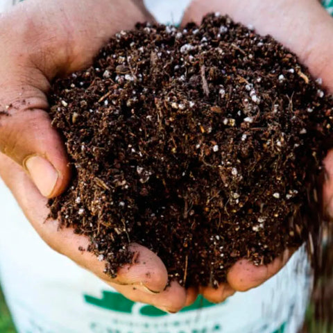 Tierra compost