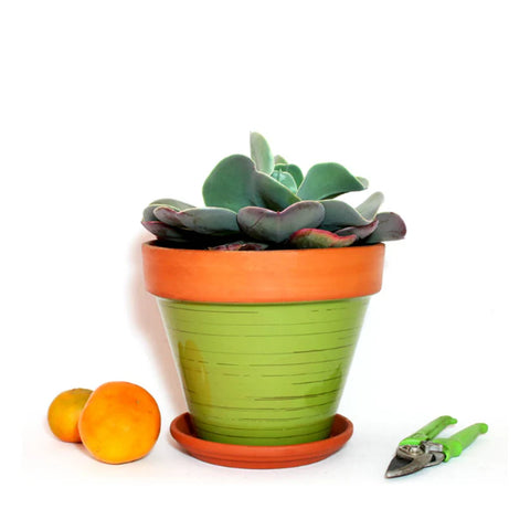 Maceta Kony 19 CM Terra Verde