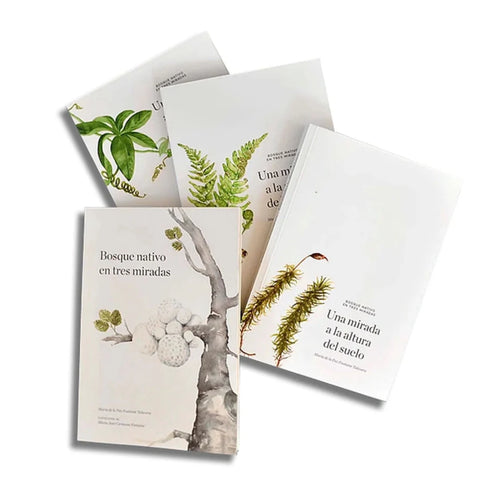 Libro Bosque Nativo En Tres Miradas