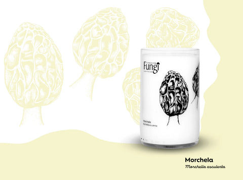 Pack de Vasos Hongos de Chile