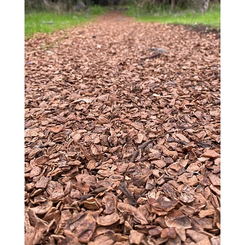 Mulch Cascara Nuez