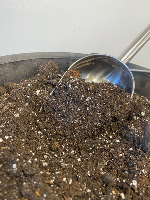 Granel Sustrato de Autocultivo