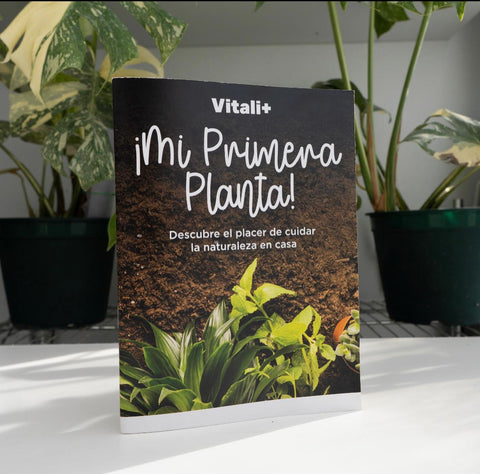 Guia Mi Primera Planta