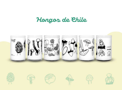 Pack de Vasos Hongos de Chile