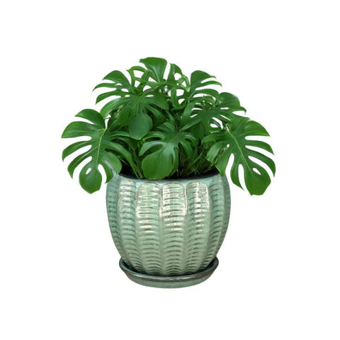 Macetero Hosse 37 CM con Plato