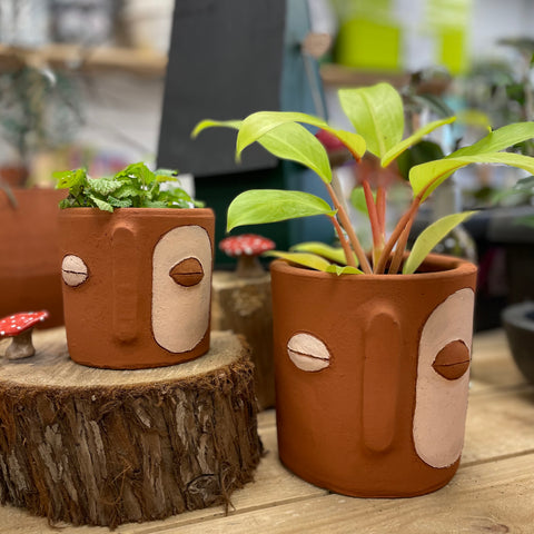 Macetero Carita Pintada