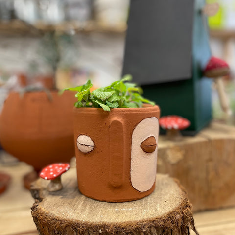 Macetero Carita Pintada