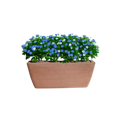 Jardinera Rectangular Garda Terrarcilla