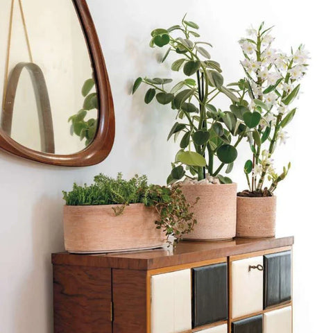 Jardinera Luna 33cm Ovalada Terracota