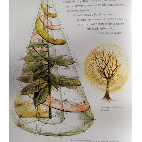 Libro Magna Magistra Mater Natura