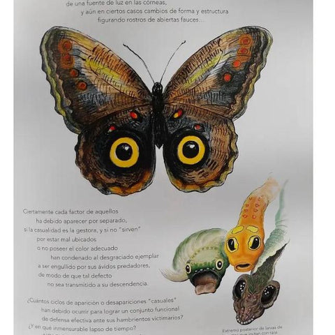 Libro Magna Magistra Mater Natura