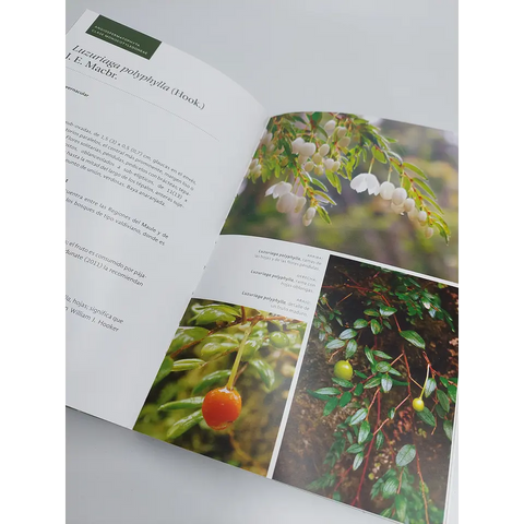 Libros Flora Vascular 3 Tomos