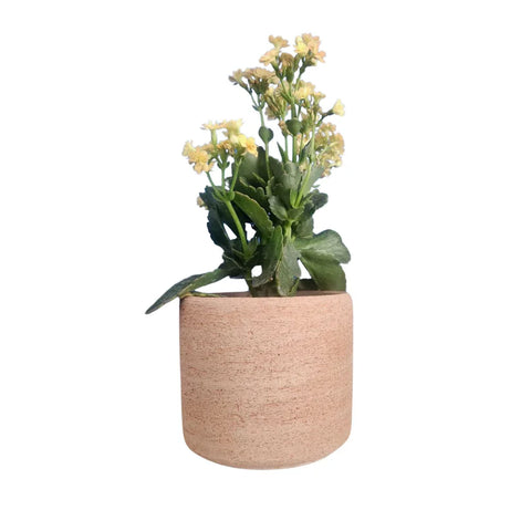 Macetero Luna 11 CM Terracota