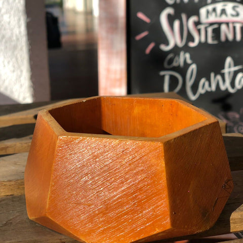 Macetero Tortola