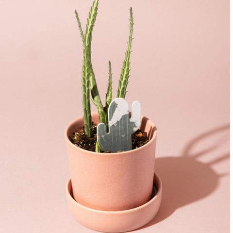 Medidor Humedad Cactus