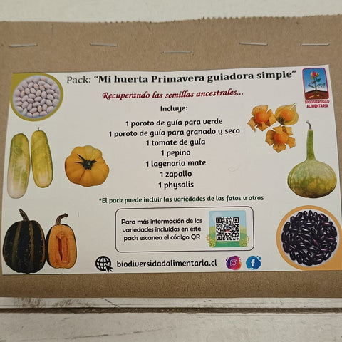 Mi Huerta Primavera Guiadora Simple Biodiversidad Alimentaria