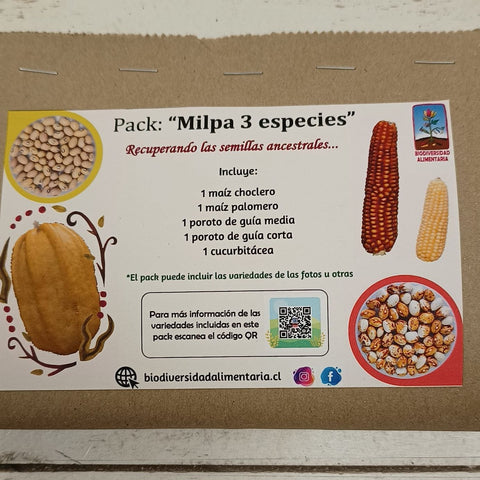Milpa 3 Especies Biodiversidad Alimentaria