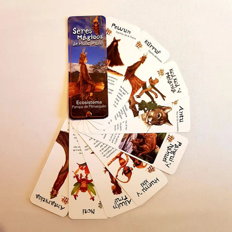 Pack Pantoneras Seres Mágicos