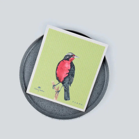 Paños Absorbentes