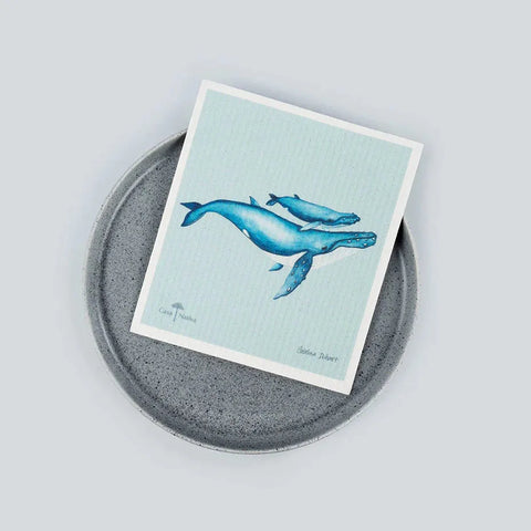Paños Absorbentes