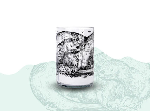 Pack de Vasos Chungungos