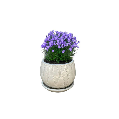 Macetero Victoria 18 CM con Plato