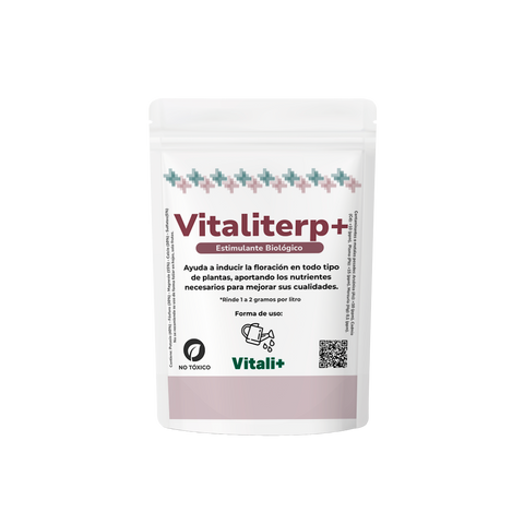 Vitaliterp+