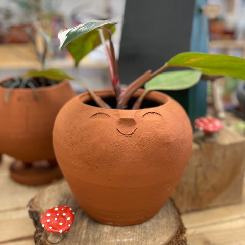 Macetero  Carita Gordi
