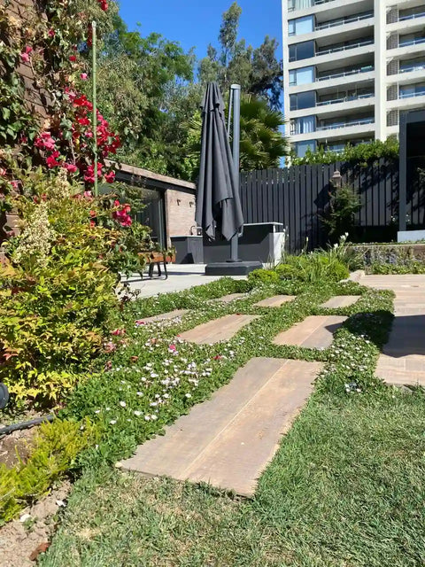 Diseño de Patios