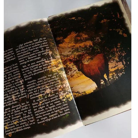 El Libro Secreto De La Selva Patagonica