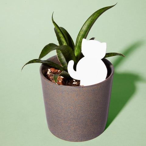 Medidor Humedad Gato