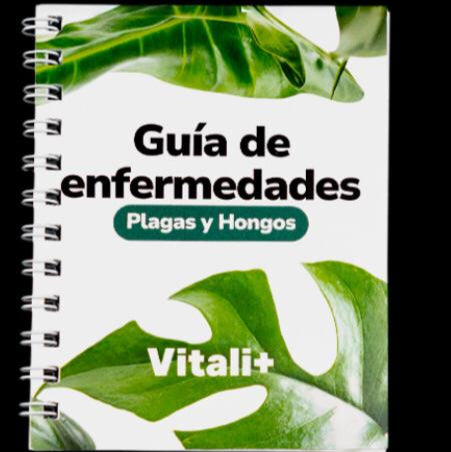 MIni Guia de Enfermedades