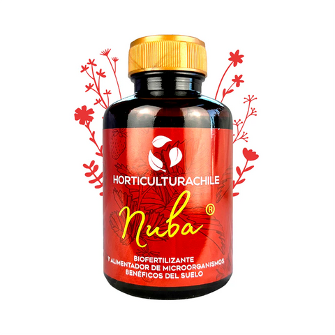 Nuba Horticultura