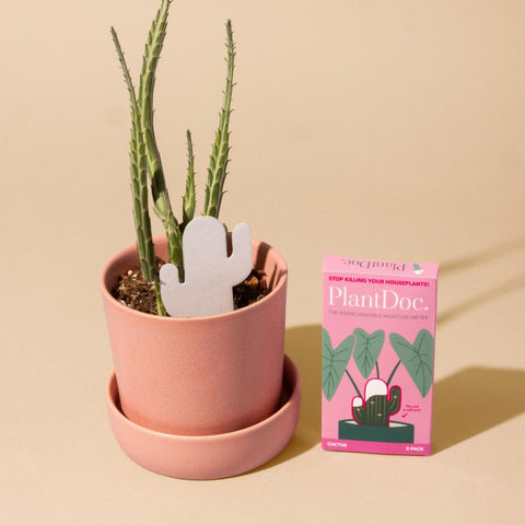 Medidor Humedad Cactus