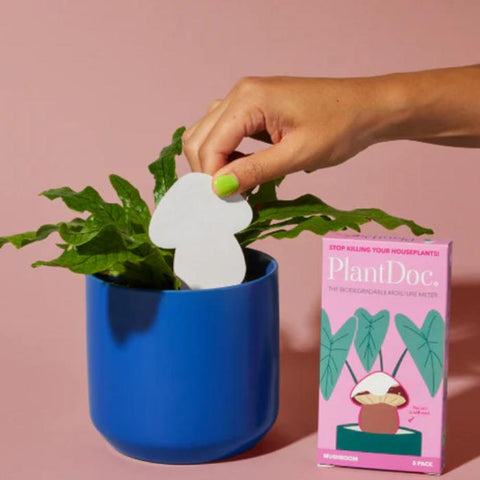 Medidor Humedad Hongo