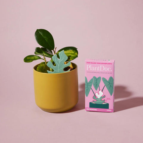 Medidor Humedad Mini Monstera